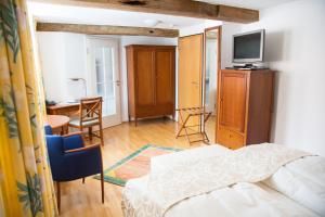 TV a/nebo společenská místnost v ubytování Hotel Weber