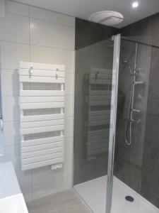 a bathroom with a shower with a glass door at Le Petit Parc in Colmar