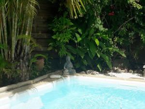 una piscina en un jardín con plantas en Villa BonBon Siwo en Le Diamant