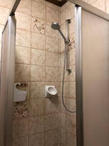 a bathroom with a shower with a shower head at Katschberghöhe 21 in Katschberghöhe +70 photos