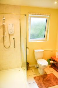 a bathroom with a shower and a toilet and a window at Little Lulworth in Bordon
