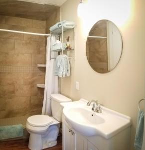 uma casa de banho com um WC, um lavatório e um espelho. em HA Whitney Inn em Columbus