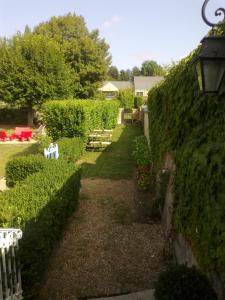 a garden with a hedge wall and a pathway at Le 39 Bis in Rémalard en Perche