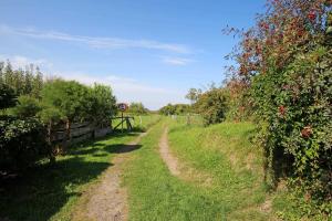 Jardín al aire libre en Ferienwohnungen Rechlin SEE 9270