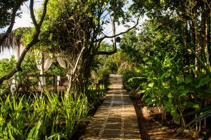 a wooden path through a garden with trees and plants at Hotel Ponta do Madeiro in Pipa