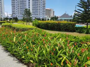 uma fileira de plantas com flores vermelhas em um parque em Wind Residences Tower 4 em Kaybagal