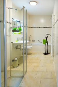 a bathroom with a shower and a sink and a toilet at Hotel Weisse Elster in Zeitz