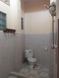 a bathroom with a toilet and a shower at Banaue Sunrise Guest House in Banaue