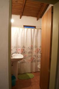 a bathroom with a sink and a shower curtain at Bla Lodge in El Calafate