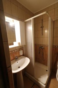 y baño con lavabo y ducha. en Pensiunea Baroque Slimnic, en Slimnic