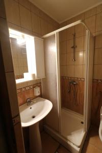 un baño con lavabo y ducha en Pensiunea Baroque Slimnic, en Slimnic