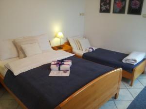 Postel nebo postele na pokoji v ubytování Apartments Villa Kukoljac