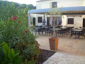 Restaurace v ubytování Camping Torraccia