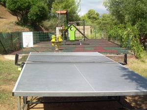 Stolní tenis v ubytování Camping Torraccia nebo okolí