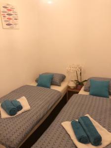 Camera con 2 letti singoli e cuscini blu. di Dubrovnik Summer Industry Apartment a Dubrovnik