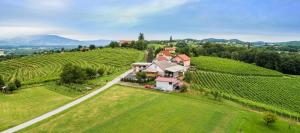 Gallery image of Guesthouse Prenočišča Širec in Ptuj