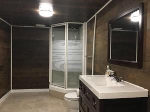 a bathroom with a sink and a shower and a toilet at Seaview White House in Stratford