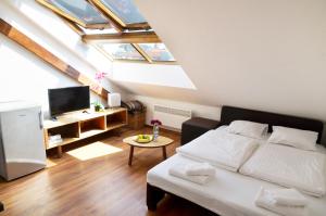 1 dormitorio con 1 cama y TV en el ático en The Republic Apartments, en Praga