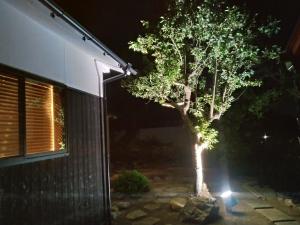 冈山Touchian的相册照片