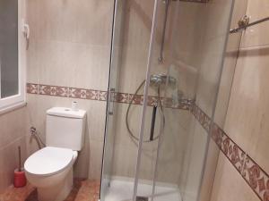 ログローニョにあるApartamento Logroñoのバスルーム(トイレ、ガラス張りのシャワー付)