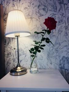 Fotografia z galérie ubytovania Apartamenty w Jurgowie Świstokówka v destinácii Jurgów