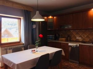 Kuchyňa alebo kuchynka v ubytovaní Apartamenty w Jurgowie Świstokówka