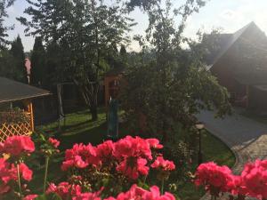 Vonkajšia záhrada v ubytovaní Apartamenty w Jurgowie Świstokówka