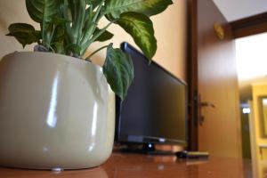Eine Pflanze in einer weißen Vase auf einem Tisch neben einem Fernseher in der Unterkunft Hotel Fontana in Rubiera
