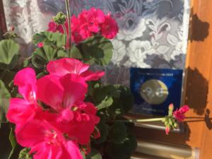 Fotografia z galérie ubytovania Apartamenty w Jurgowie Świstokówka v destinácii Jurgów