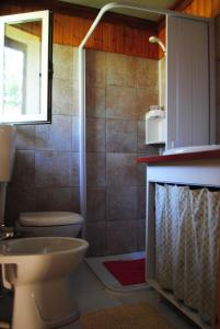 a bathroom with a shower with a toilet and a sink at L'albero delle noci in Lanciano