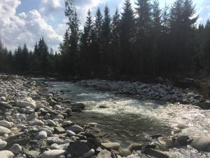 Príroda v okolí apartmánu
