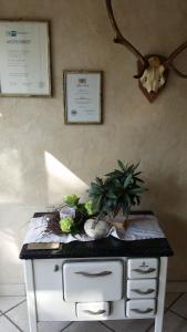 Fotografie z fotogalerie ubytování Wirth z ´ Moosham v destinaci Moosham