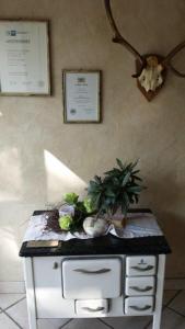 Fotografie z fotogalerie ubytování Wirth z ´ Moosham v destinaci Moosham