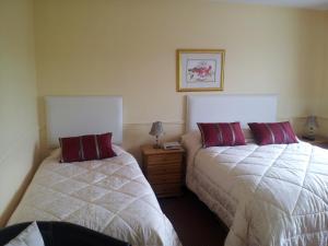 Postel nebo postele na pokoji v ubytování Tir Na Nog B&B