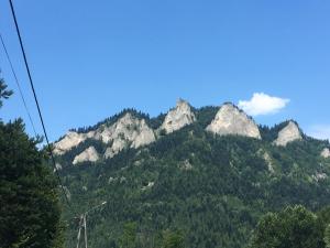 a view of a mountain with trees and rocks at Apartamenty w Jurgowie Świstokówka in Jurgów