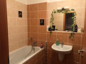Koupelna v ubytování Apartman c.8 Magnolie