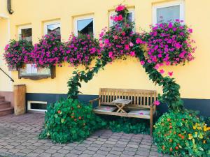 Zahrada ubytování Hotel zum Engel