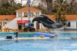 アルマダにあるCasa do Pedro - Lisbon South Bayのイルカが水から飛び出してくる