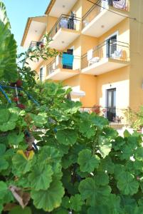 Hoone, kus korterhotell asub