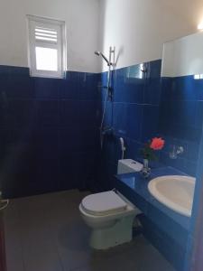 Baño azul con aseo y lavamanos en High View Homestay, en Kandy