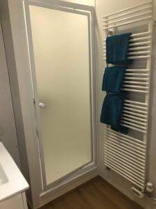 a bathroom with a shower with a mirror and blue towels at La cabine de Loire in Saint-Satur