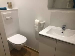 a white bathroom with a toilet and a sink at La cabine de Loire in Saint-Satur