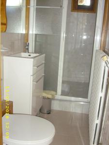 La salle de bains blanche est pourvue d'une douche et de toilettes. dans l'établissement Le Pin Cembro, à Les Ribes