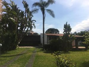 a yard with a palm tree and a house at Villa Andrea in Fondachello