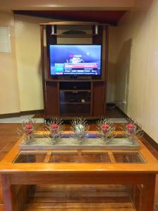 uma sala de estar com uma televisão e uma mesa de centro em Fully AC 3BR House for 8pax near Airport and SM with 100mbps Wifi em Puerto Princesa
