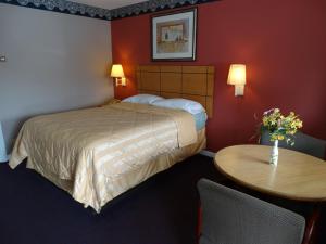 a hotel room with a bed and a table at Colony Motel in Brookfield