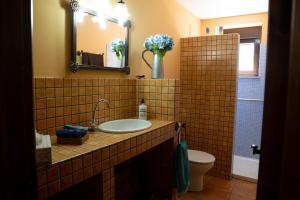 ein Badezimmer mit einem Waschbecken, einem WC und einem Spiegel in der Unterkunft Casa Magüeto in Combarros