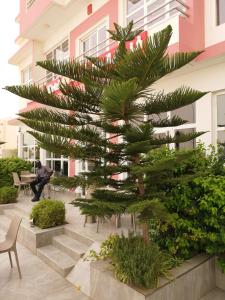 Gallery image of Nouakchott Hotel in Nouakchott