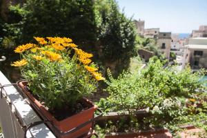 a flower pot filled with yellow flowers on a balcony at Hotel L'Argine Fiorito in Atrani