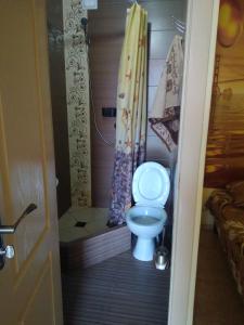 a small bathroom with a toilet and a shower at La Kosta Zatoka in Zatoka +95 photos